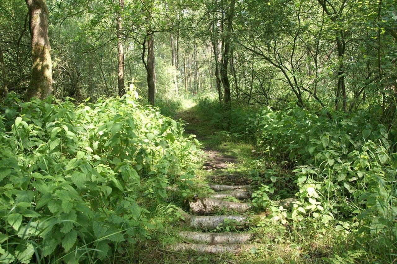 Vakantiewoning De Kei. Modern Achterhoeks Genot ลิกเตนฟอร์เดอ ภายนอก รูปภาพ