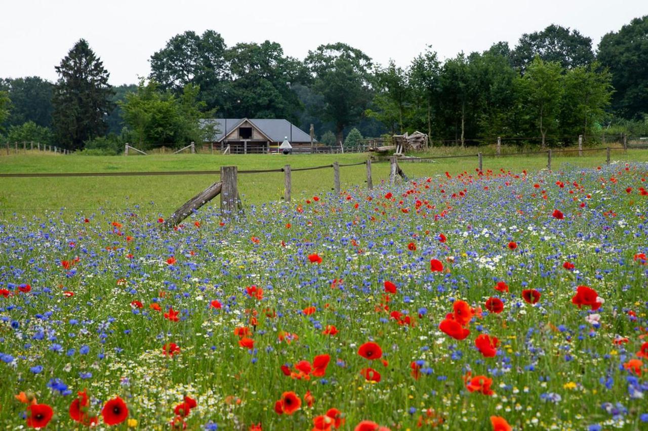 Vakantiewoning De Kei. Modern Achterhoeks Genot ลิกเตนฟอร์เดอ ภายนอก รูปภาพ